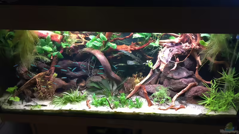 es war einmal ... von Danny (13)