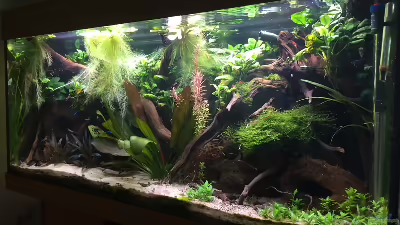 es war einmal ... von Danny (15)