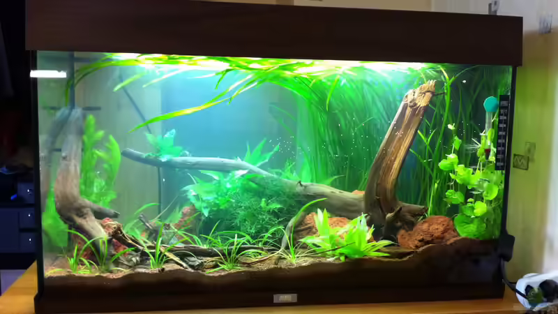 es war einmal ... von Danny (2)