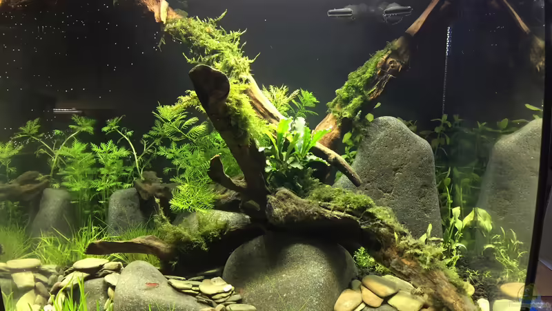 es war einmal ... von Danny (2)