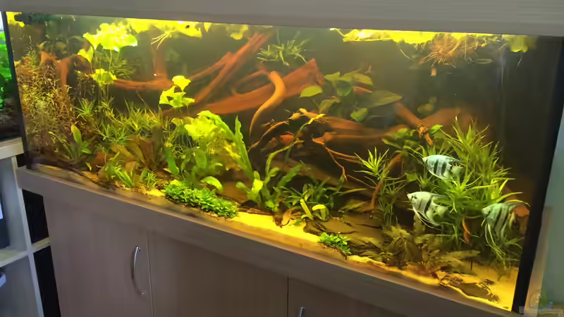 es war einmal ... von Danny (3)