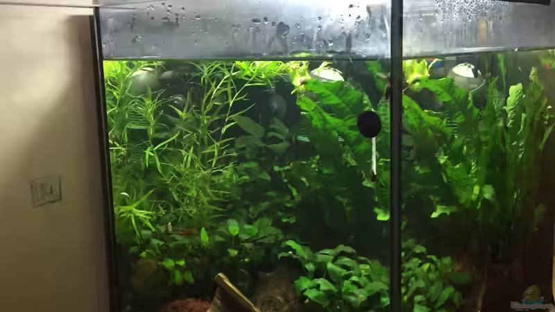 es war einmal ... von Danny (3)