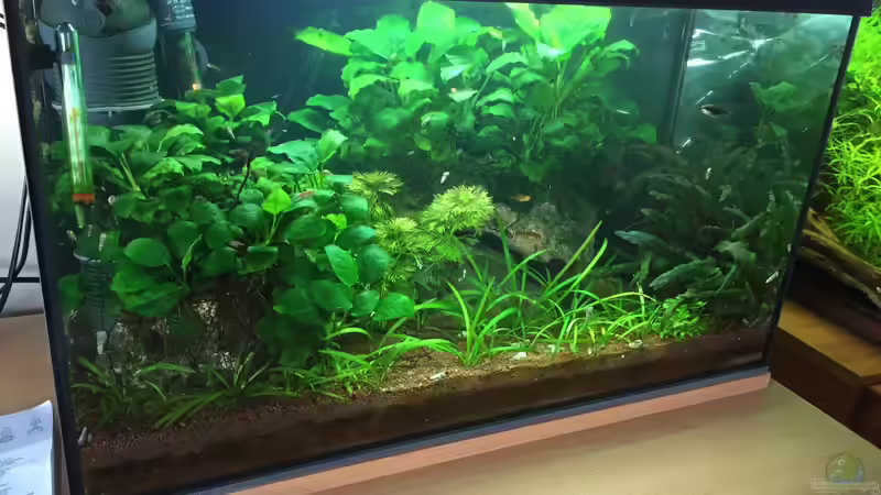 es war einmal ... von Danny (3)