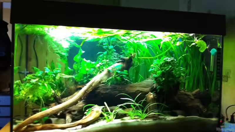 es war einmal ... von Danny (3)