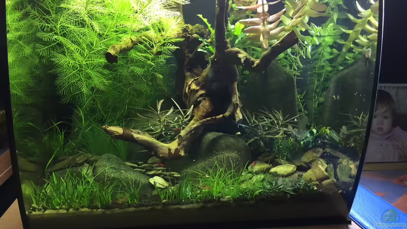 es war einmal ... von Danny (3)