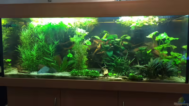 es war einmal ... von Danny (4)