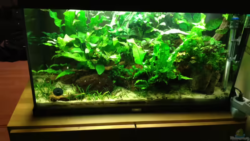 es war einmal ... von Danny (4)