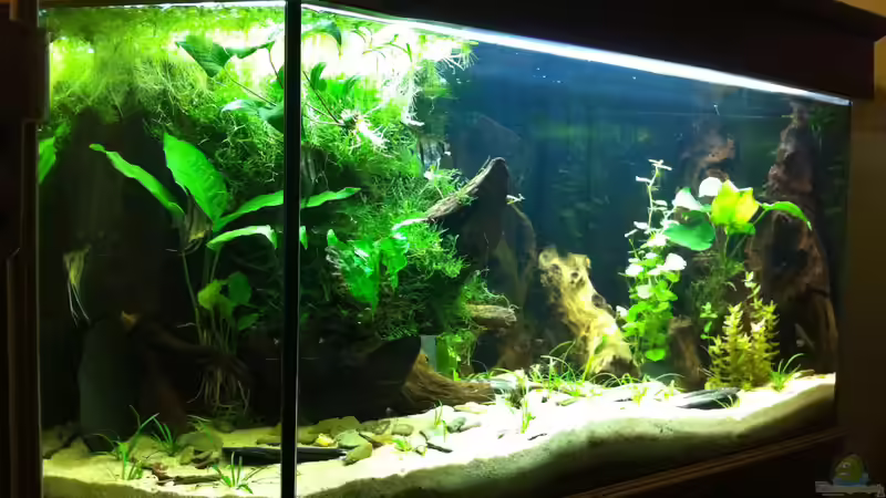 es war einmal ... von Danny (4)