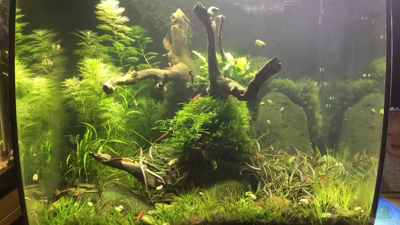 es war einmal ... von Danny (4)