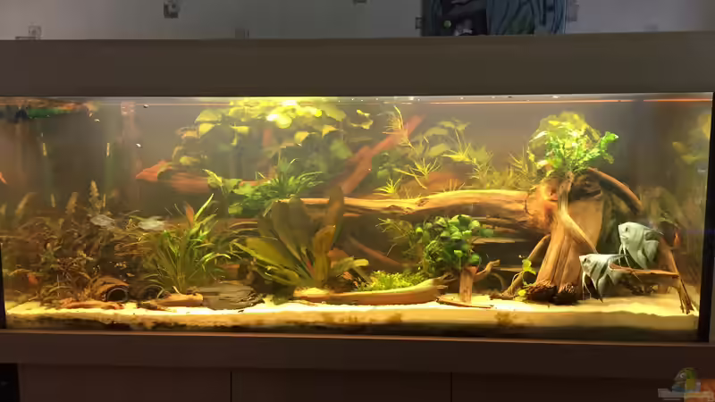 es war einmal ... von Danny (5)