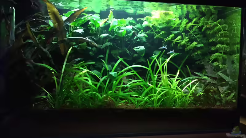 es war einmal ... von Danny (5)