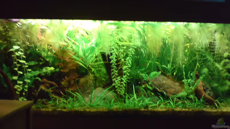 es war einmal ... von Danny (5)