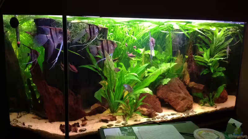 es war einmal ... von Danny (5)