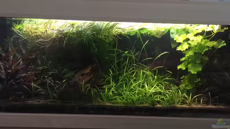 es war einmal ... von Danny (6)