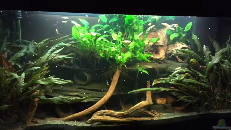 es war einmal ... von Danny (6)