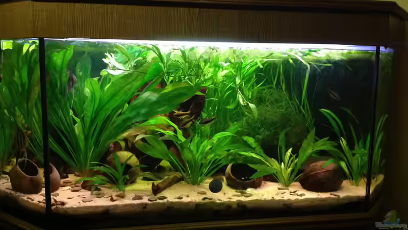 es war einmal ... von Danny (6)