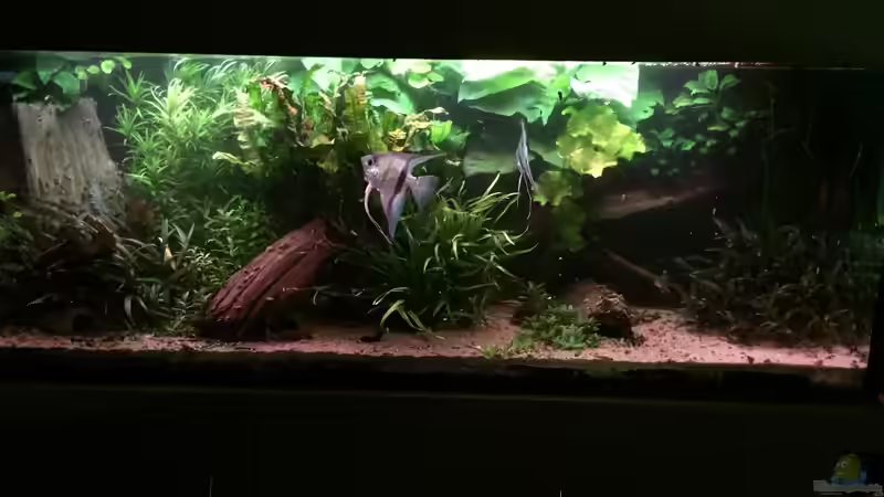 es war einmal ... von Danny (7)