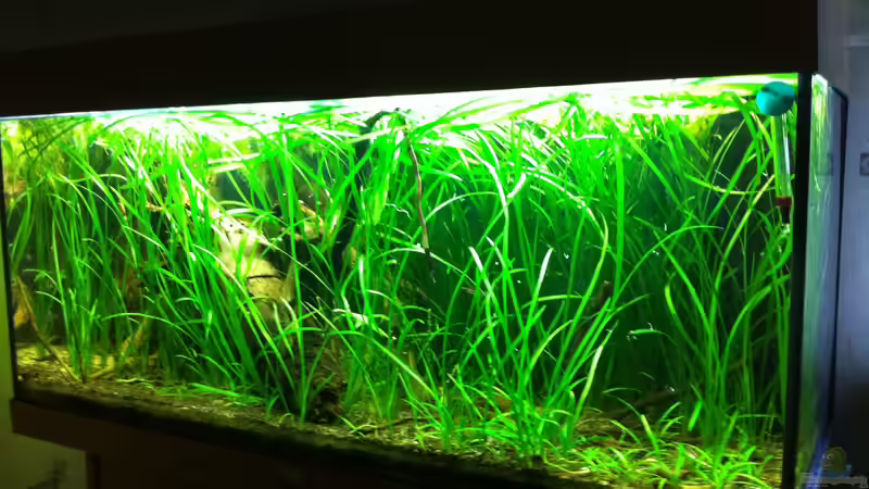 es war einmal ... von Danny (7)