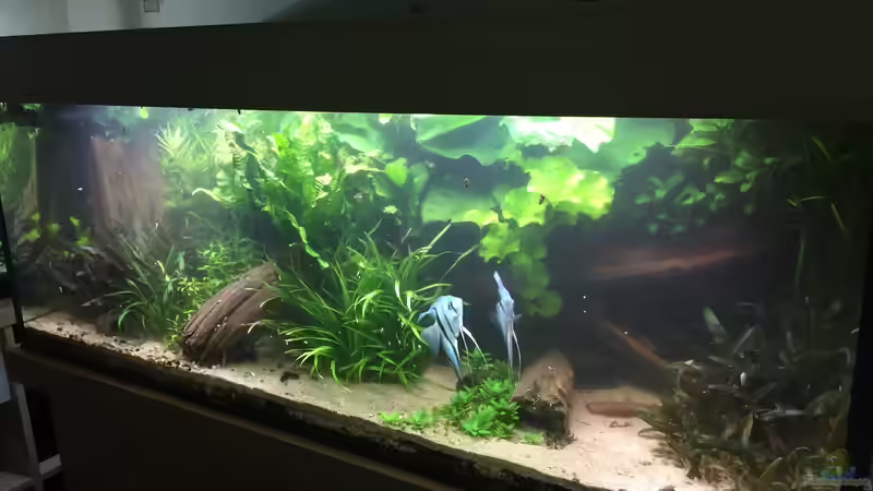 es war einmal ... von Danny (8)