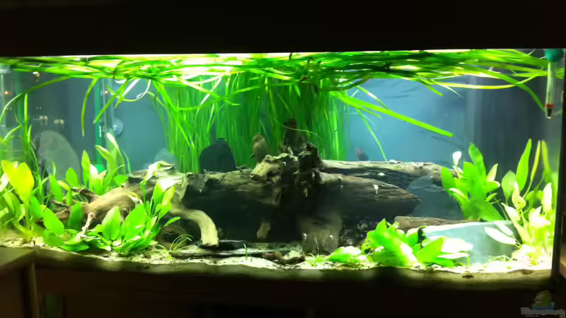 es war einmal ... von Danny (8)