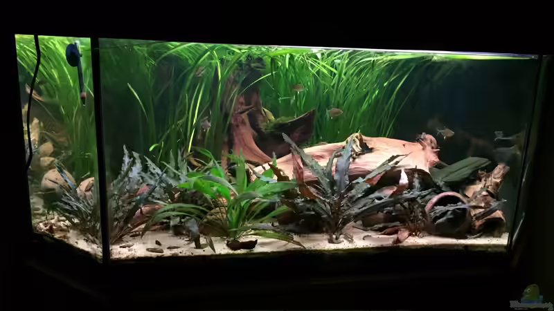 es war einmal ... von Danny (8)