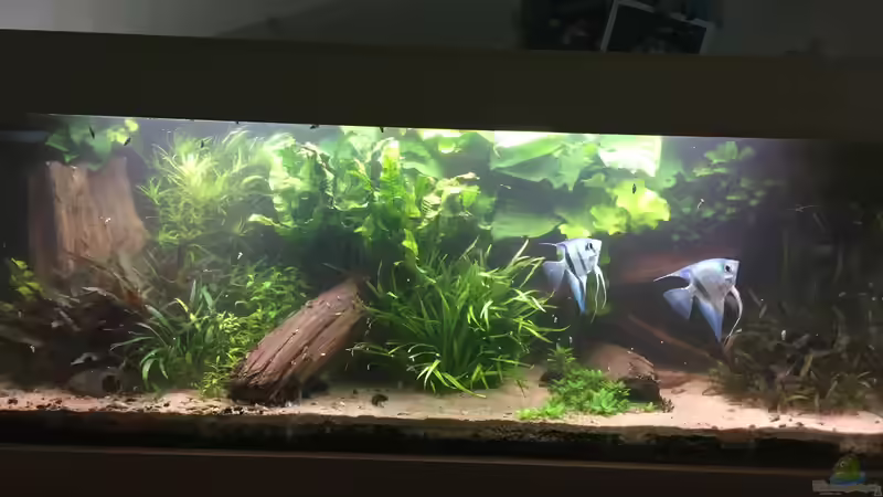 es war einmal ... von Danny (9)