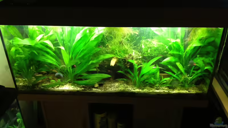 es war einmal ... von Danny (9)