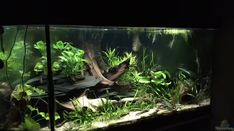 es war einmal ... von Danny (9)