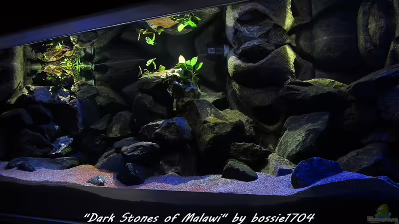 Es war einmal... von bossie1704 (1)