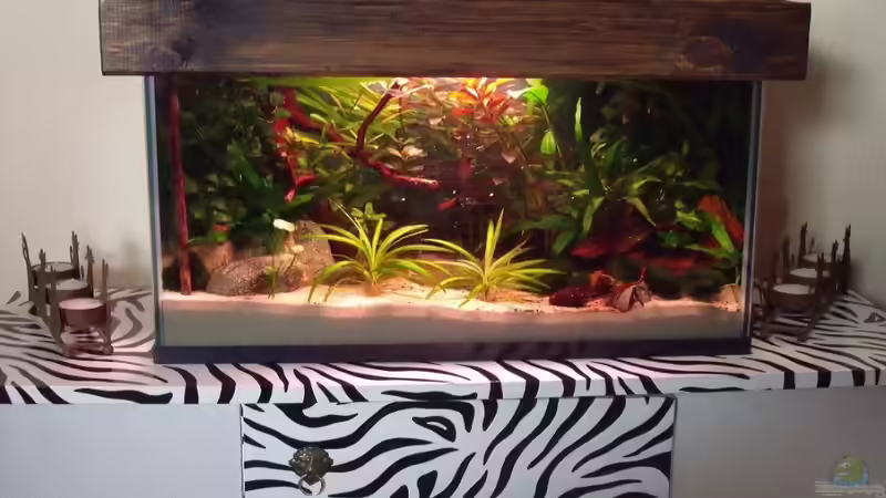 es war mal...(ein Monatssieger) von PH Neutral (2)