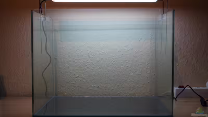 Es werde Licht! von X-Rayminator (3)