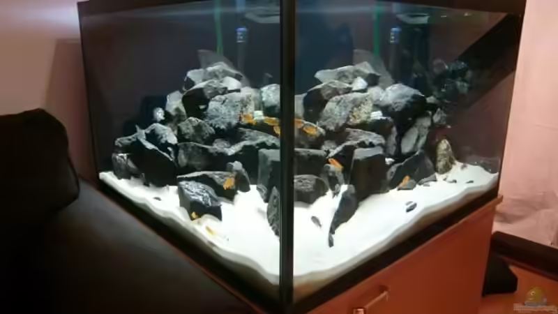 Es werden noch ein paar Steine hinzukommen um noch etwas Höhe zu gewinnen. von Mbunafan (1)