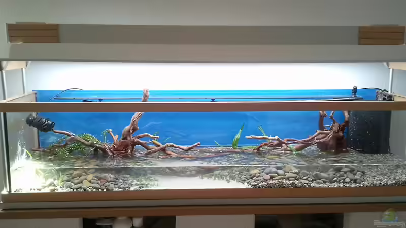 Es wird bepflanzt von bergfrau (3)