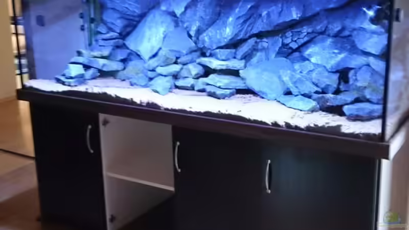 Es wird eingerichtet von Tobias Summerer (9)