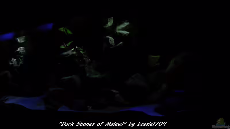 Es wird gaaaaanz dunkel... von bossie1704 (26)