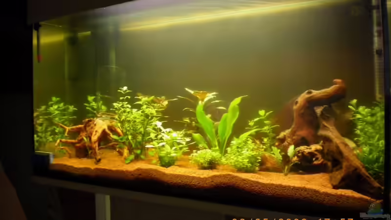 Es wird langsam .... ( 03.05.2009 ) von Manuel Well (3)