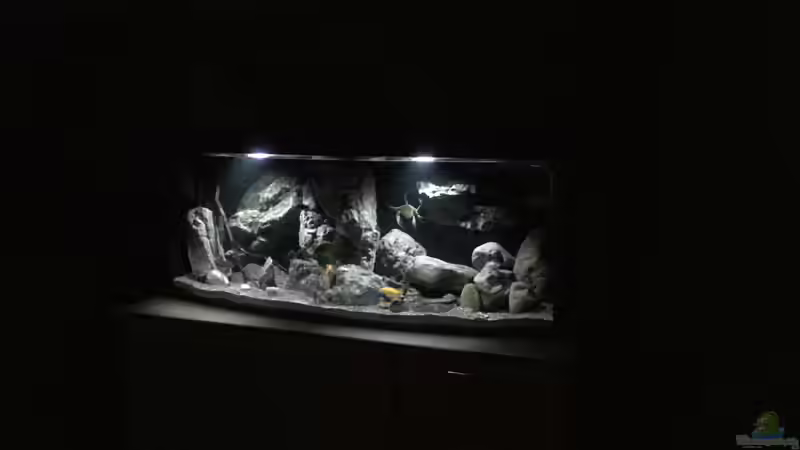 Es wird langsam Nacht von Dresdn3r (5)