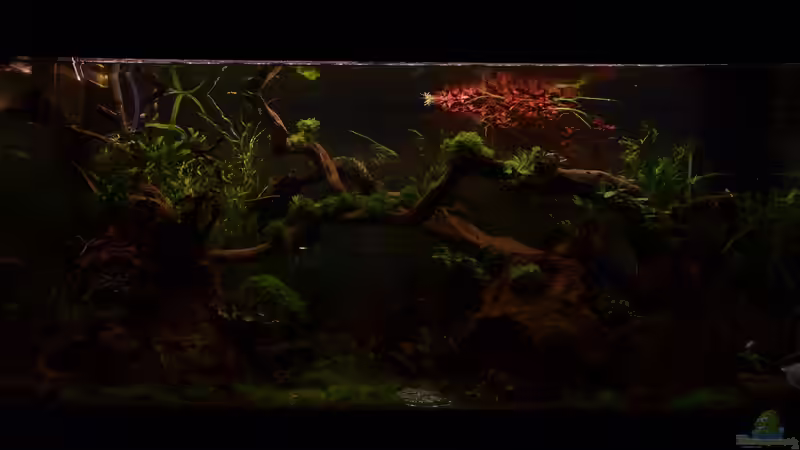 Es wird langsam Nacht von Gallius (9)