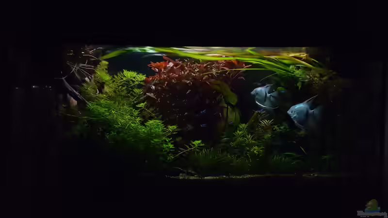 Es wird Nacht  06.11. von Mel (13)