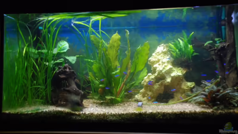 es wird noch dran gebastelt! von Markus (1)