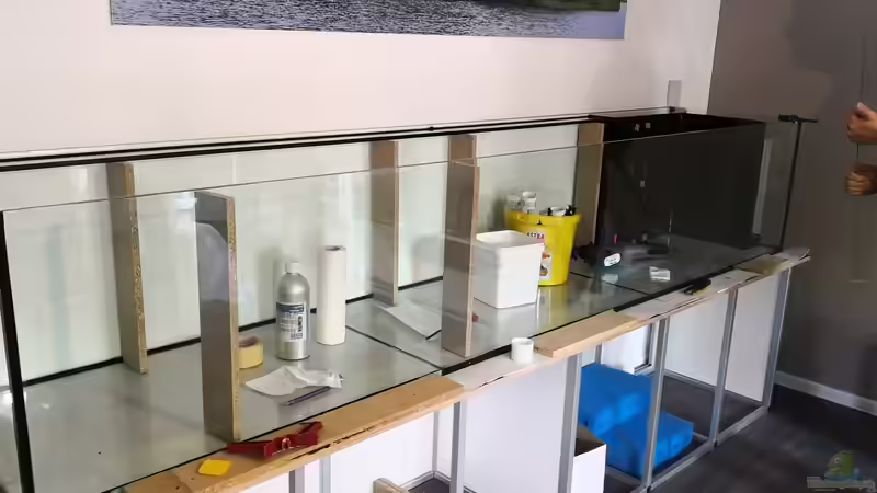 Es wird so langsam das Becken von Florian Bandhauer (38)