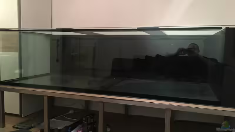 es wird von Thomas S-H (10)