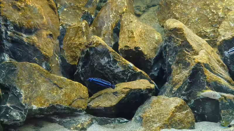 Es wirkt immer natürlicher  von Stefan von Oettingen (6)