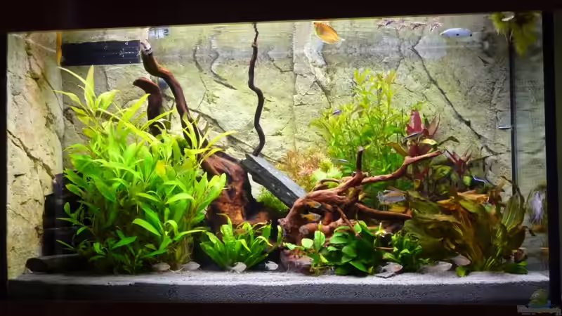 Esrtbezug von Altbestand 24.10.10 von Tobias Huber (5)