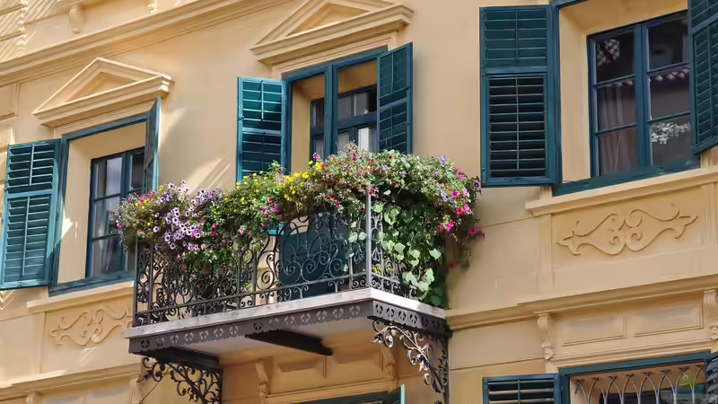 Essbare Blumen und Blüten aus dem eigenen Garten - Genuss und Schönheit direkt vor der Haustür