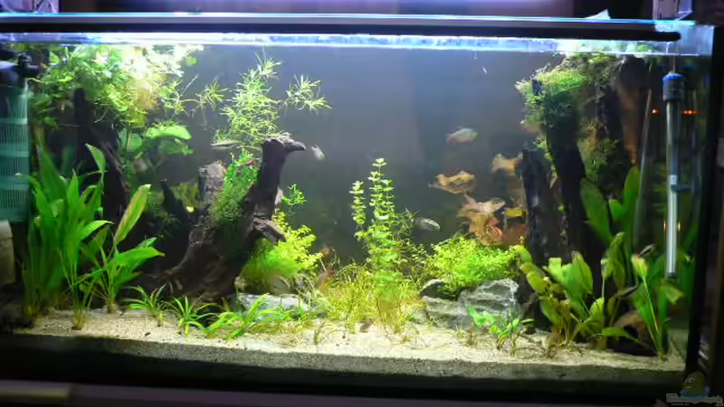 Eßecke von Zapfenmanderl (2)