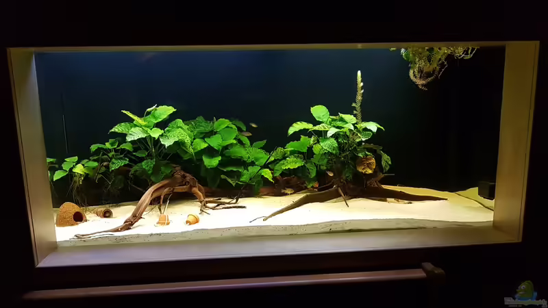 Esszimmer Ansicht von Vero und David (1)