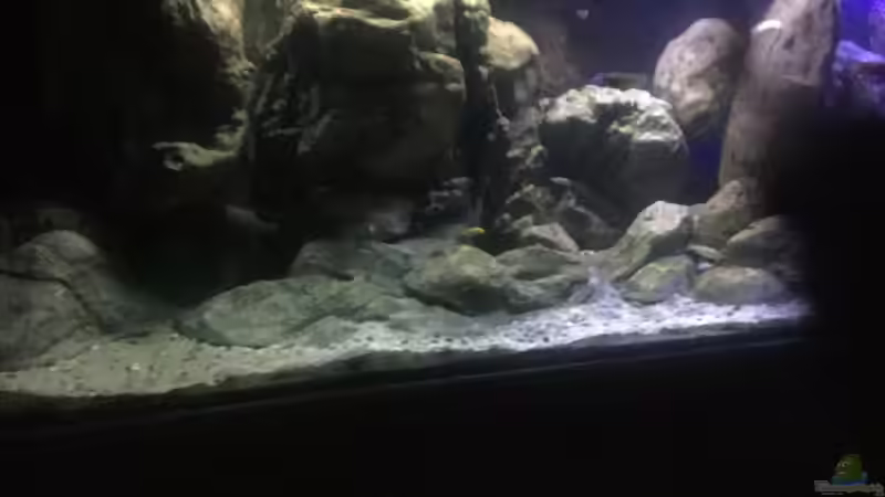 Eswird langsam Nacht! von Lippi (17)