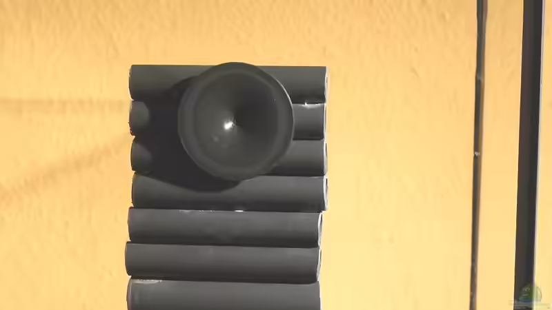 Etagenhöhle an der Rückwandscheibe von A. G. (19)