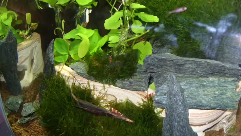 etliche kleine Höhlen aus Schiefer von Nanonana (17)